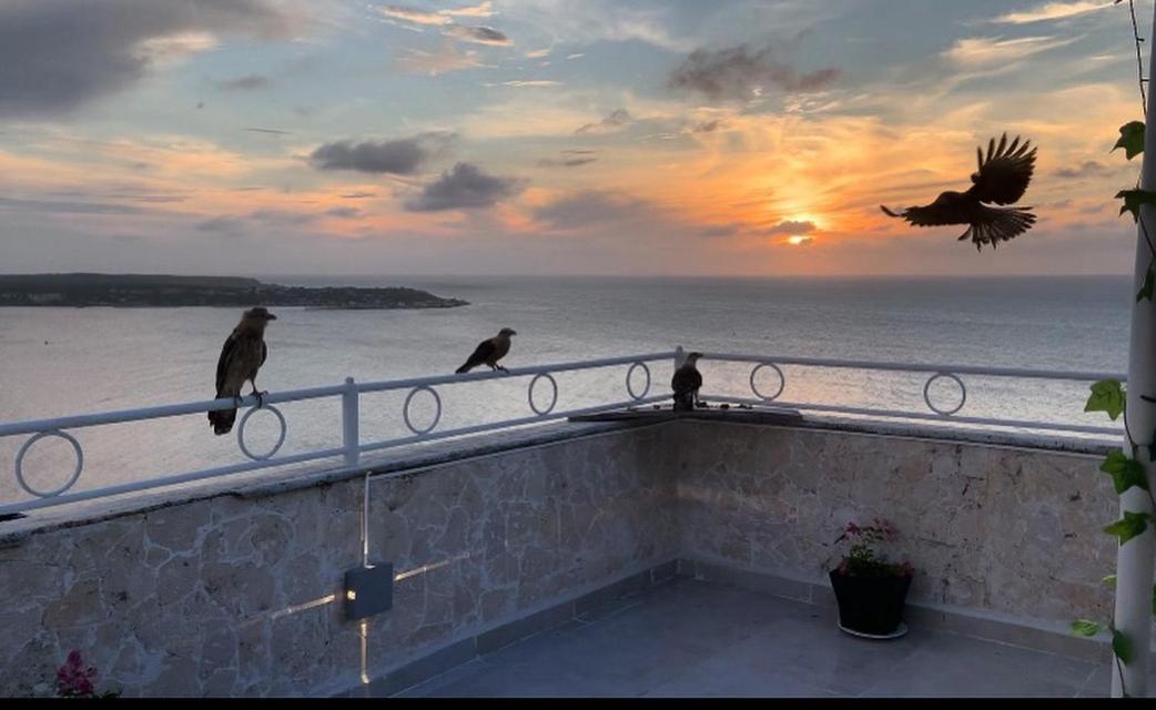 Penthouse 360 Cartagena Apartman Kültér fotó
